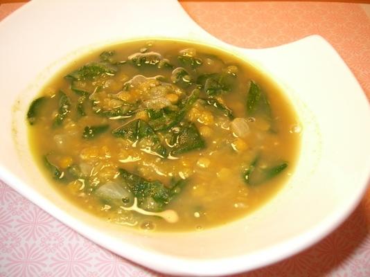 kırmızı mercimek ve ıspanak çorbası