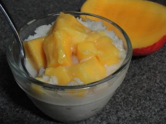 Mango on Sticky Rice (Kow Neuw Mamwaung)